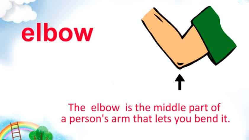 [ 英英単語動画 ] 英検対策、elbow