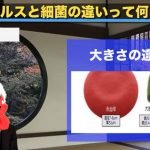 細菌とウイルスの違い