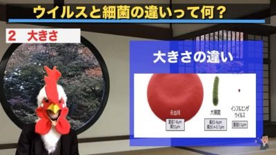 細菌とウイルスの違い